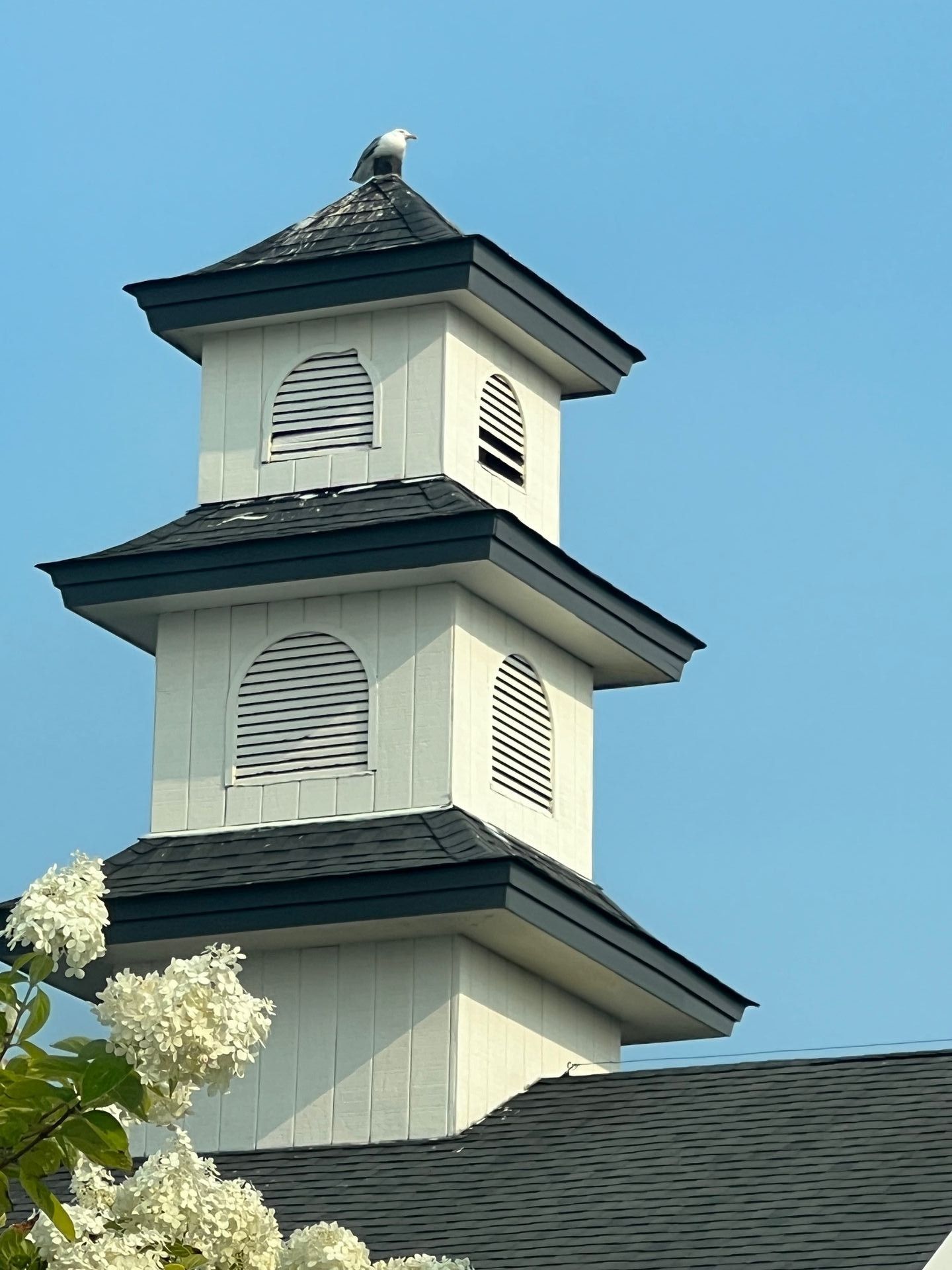 A Wave Inn Resort gallery photo